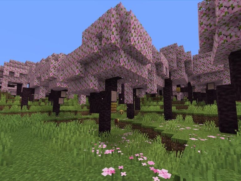 Minecraft Cherry Blossom Biome All You Need To Know