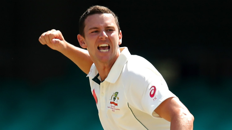 The unsung hero of Australia Josh Hazlewood