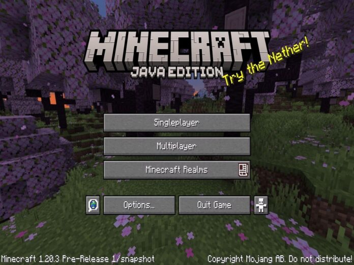 Minecraft