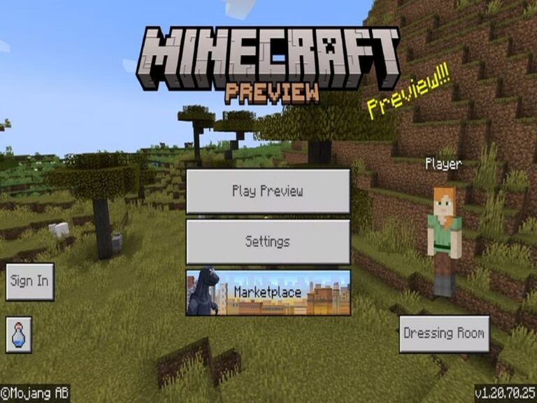 Minecraft Preview